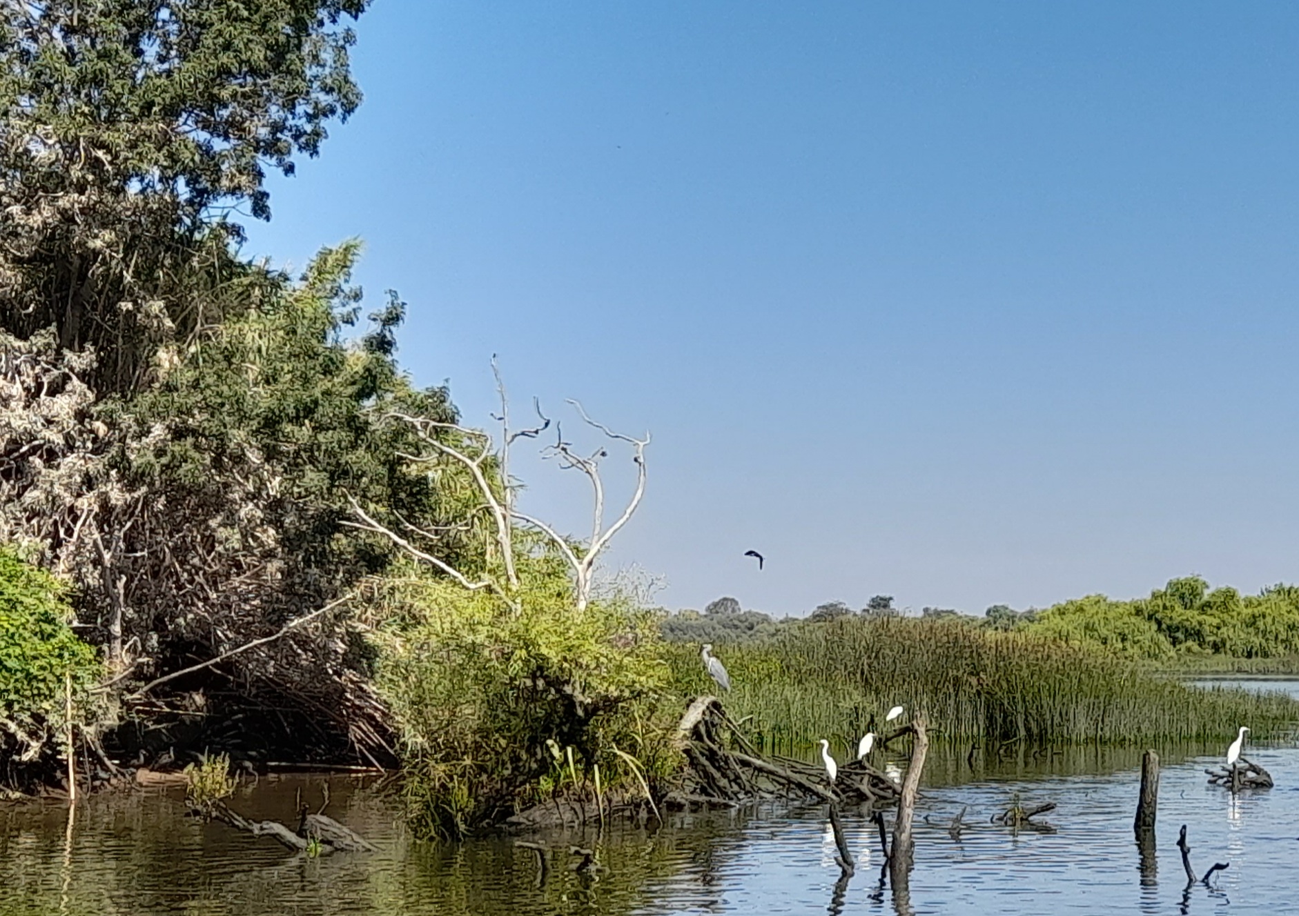 Aniversário da arep , precedido de uma visita ao MAATe Central Tejo